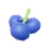 Blueberry