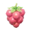 Raspberry
