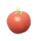 Maçã