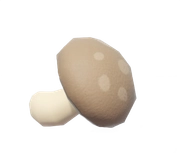 Shiitake