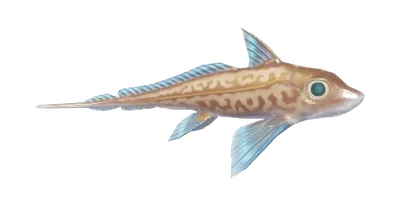 Quimera Monstruosa