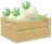Nabo