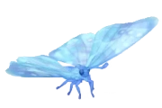 Morpho-pérola Cristalino