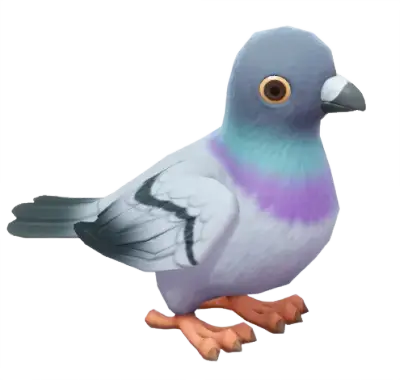 Pombo-bravo