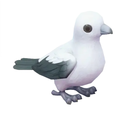 Pombo-imperial Bicolor