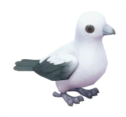 Pombo-imperial Bicolor