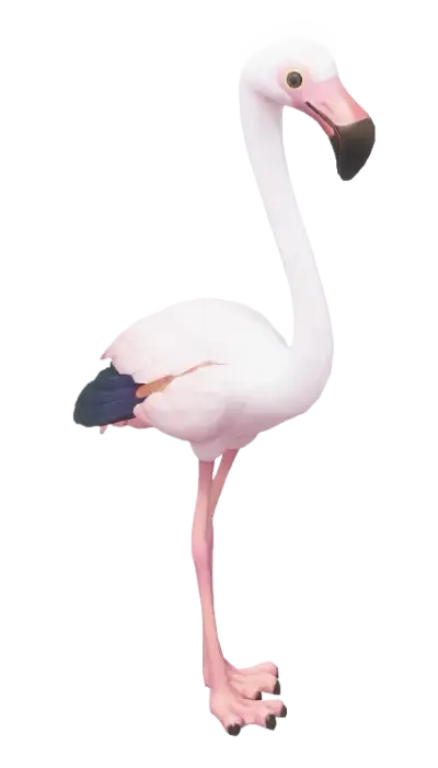 Flamingo-grande