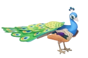 Pavão-azul