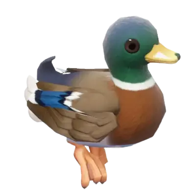 Pato-real