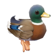 Pato-real