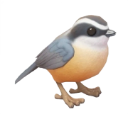 Trepadeira