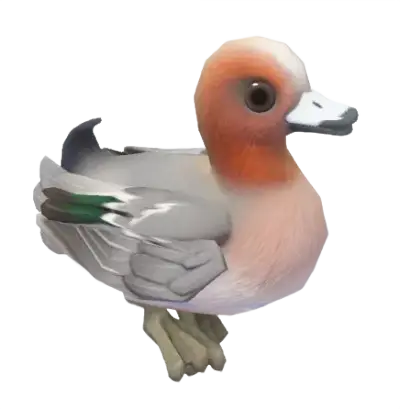 Pato-pescoço-vermelho
