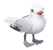 Gaivota Auduan