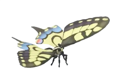 Borboleta-cauda-de-andorinha