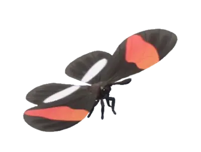 Rabo-de-andorinha-vermelha