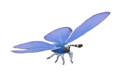 Borboleta Azul-cinza