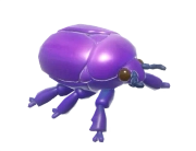 Escaravelho-da-flor Roxo
