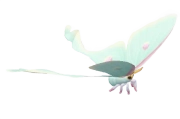 Mariposa-cauda-longa