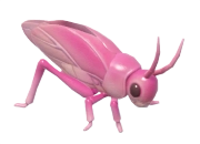 Grilo-do-mato Rosa