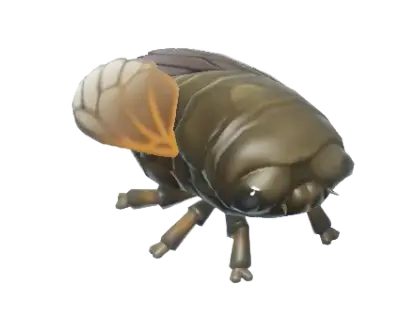 Cigarra