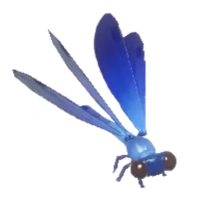 Donzelinha-azul