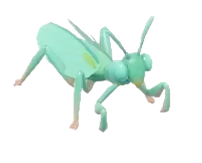 Hierodula