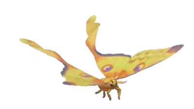 Mariposa Cometa
