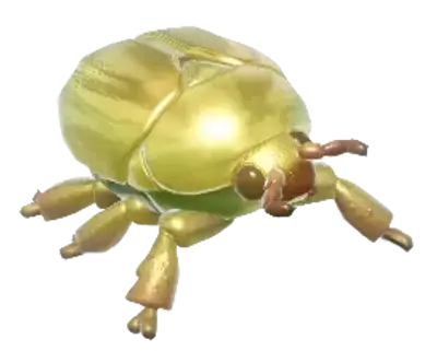 Besouro Cromado Dourado
