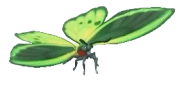 Rabo-de-andorinha-verde