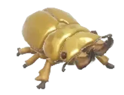 Lucano Dourado