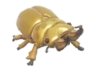 Lucano Dourado