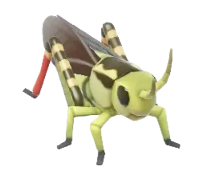 Gafanhoto Arcyptera