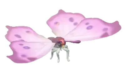 Borboleta-madre-pérola