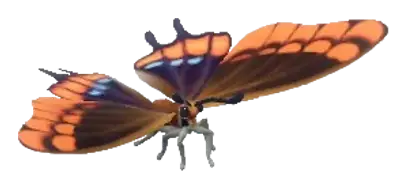 Borboleta-do-medronheiro
