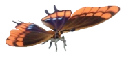 Borboleta-do-medronheiro