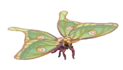 Mariposa Isabella