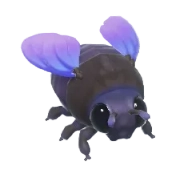Abelha-carpinteira-violeta