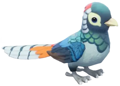 Faisão-lady