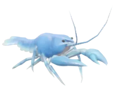 Lagostim Nórdico Azul
