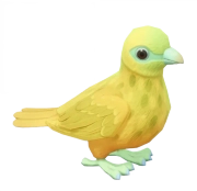 Pombo-da-fruta-dourado