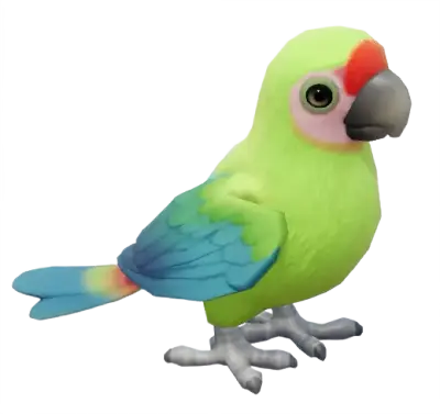 Arara-militar-grande