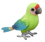Arara-militar-grande