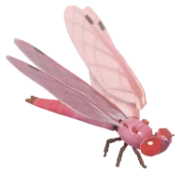 Libélula Rosada