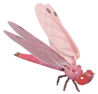 Libélula Rosada