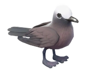 Trinta-réis-escuro