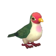 Pombo-da-fruta-jambu