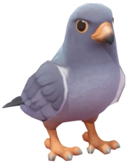 Falcão-do-amur