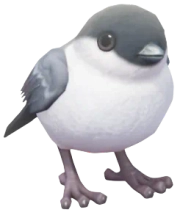 Priolo