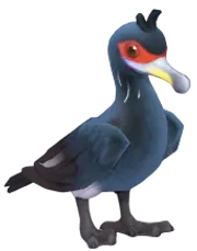 Cormorão de Face Vermelha