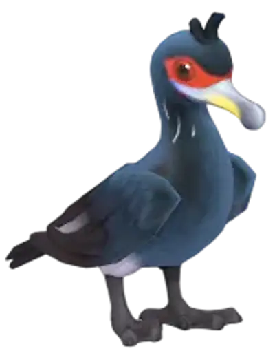 Cormorão de Face Vermelha